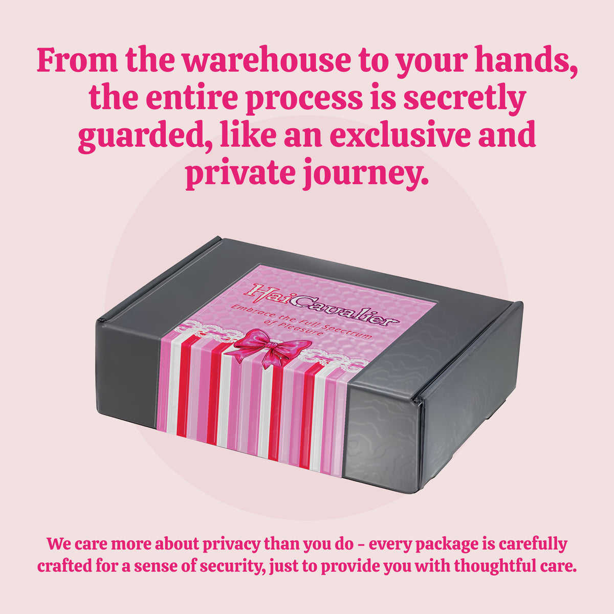Product packaging graphic from the mini bullet vibrator listing.